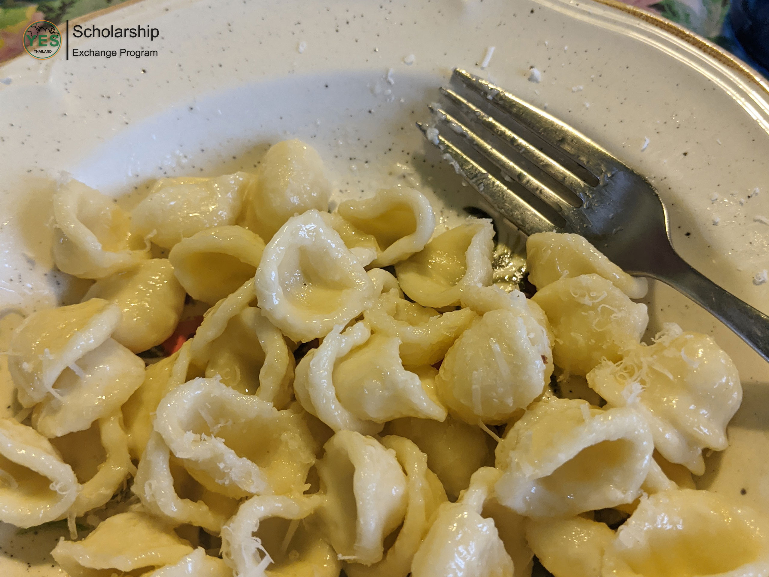 ทุนแลกเปลี่ยนภาษาและวัฒนธรรม