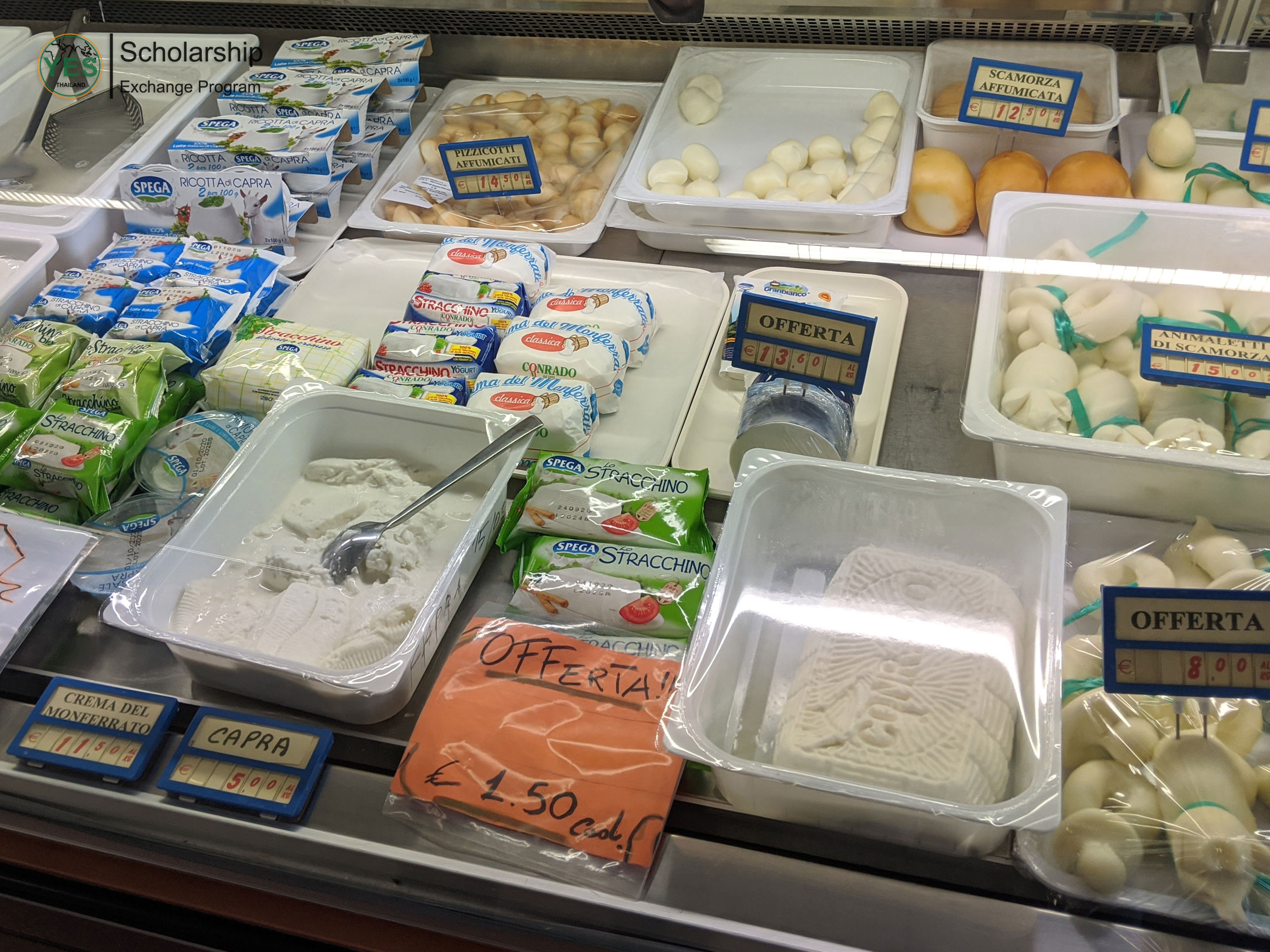 ทุนแลกเปลี่ยนภาษาและวัฒนธรรม