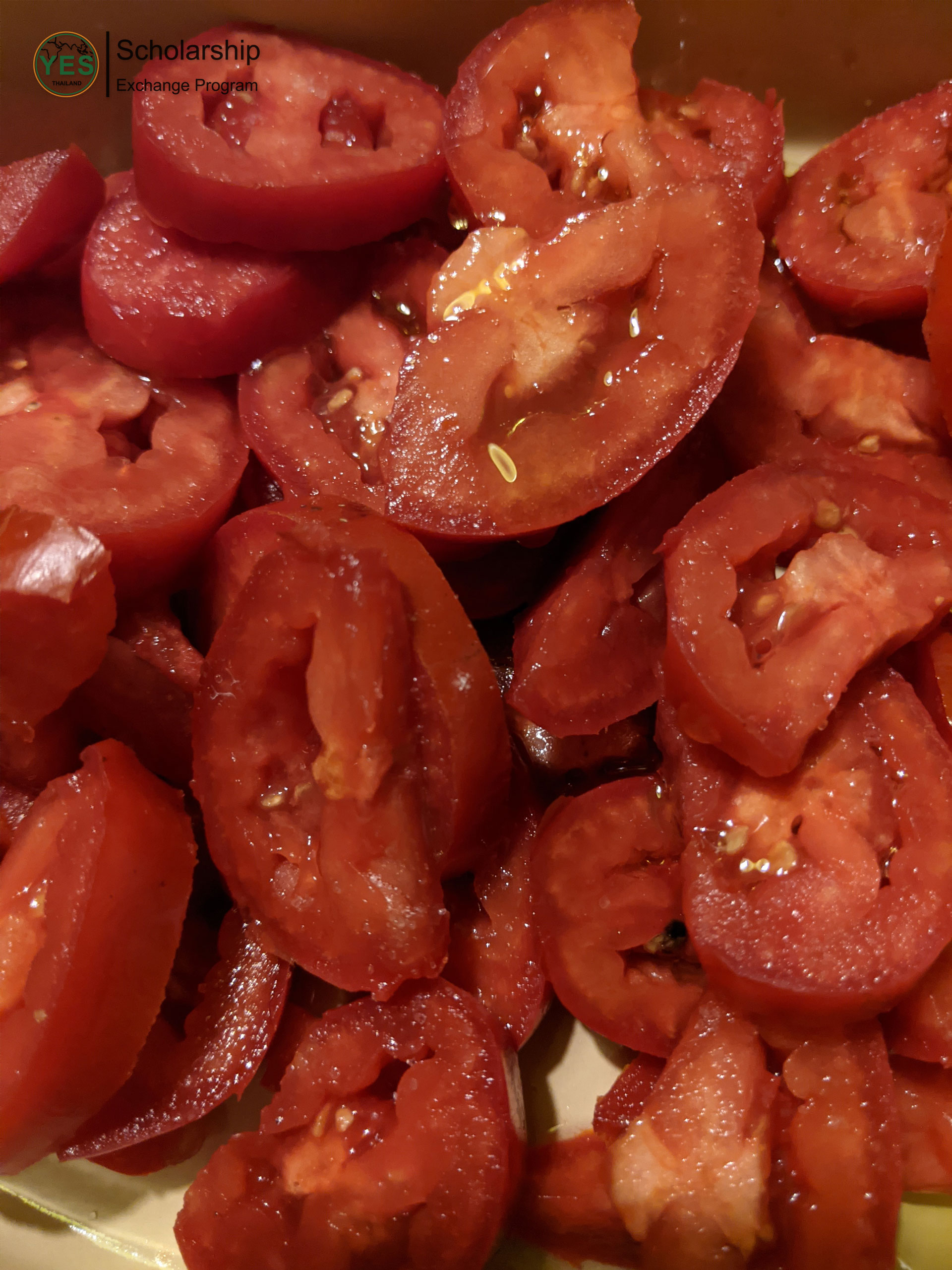 ทุนแลกเปลี่ยนภาษาและวัฒนธรรม