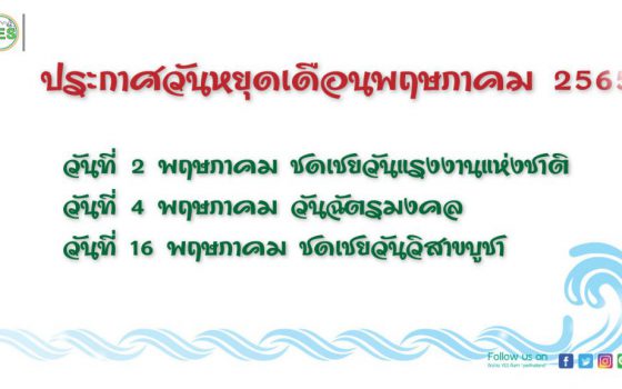 YES Thailand YES Thailand
