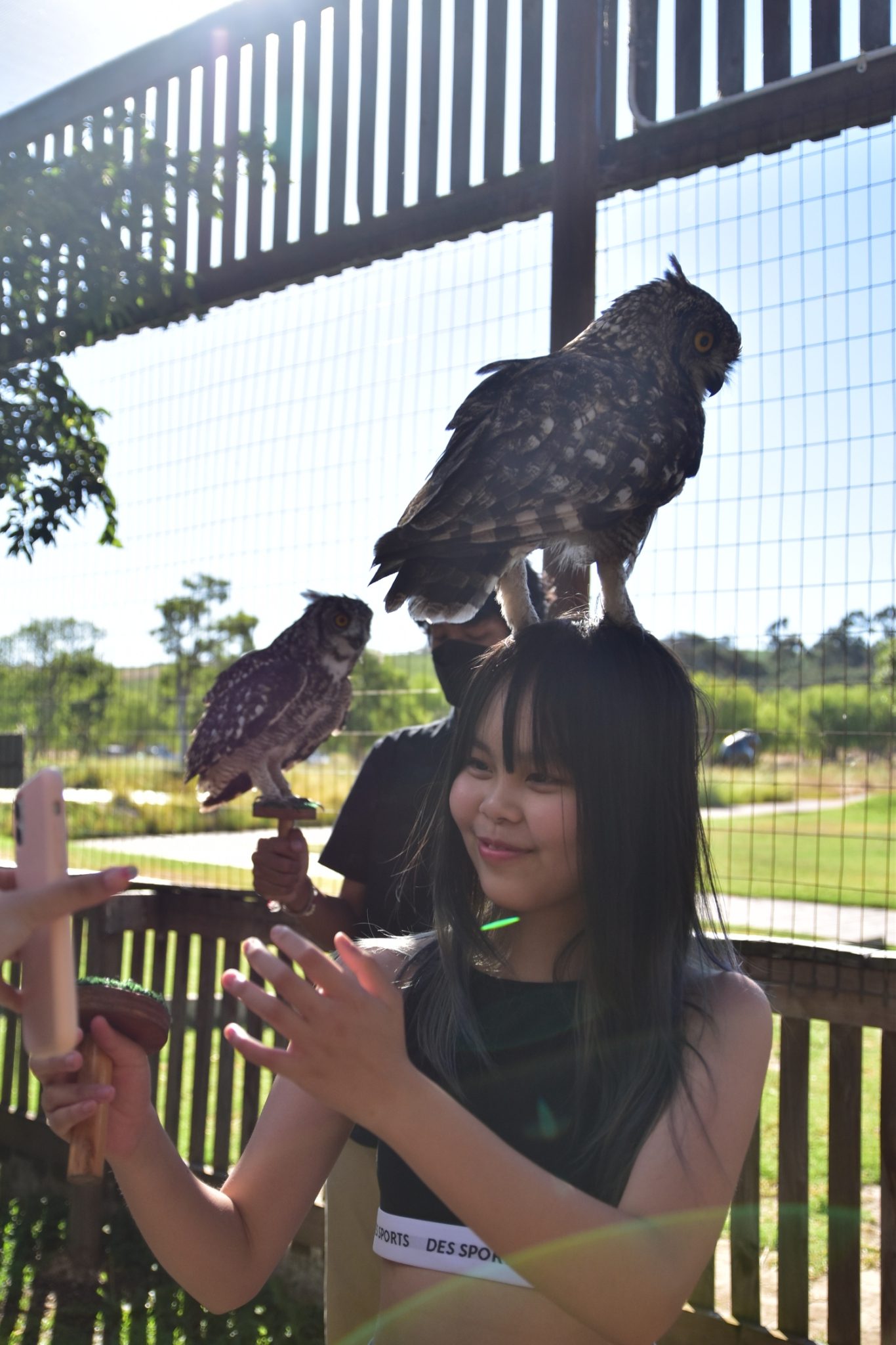 line_185897290854156